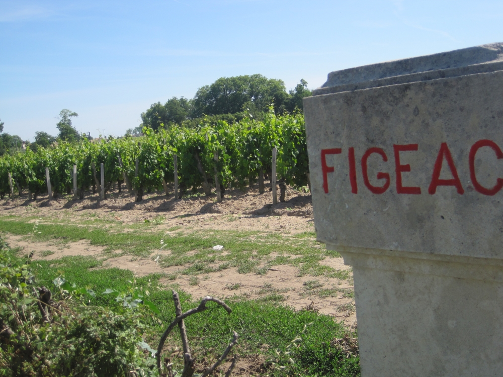RUOU VANG CHATEAU FIGEAC