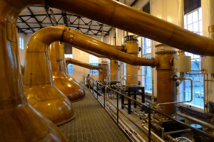 ruou macallan