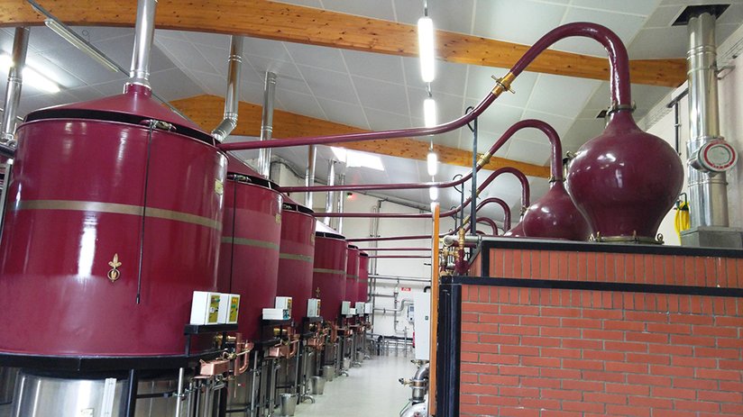ruou remy martin
