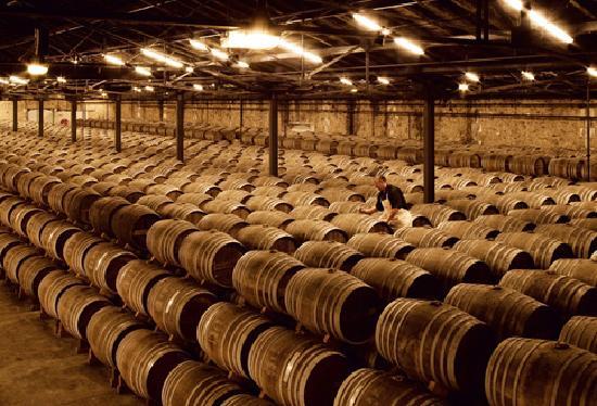 ruou remy martin